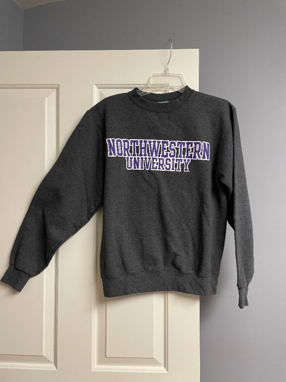 Champion Northwestern University Sweatshirt, Adult Small